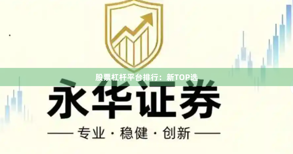 股票杠杆平台排行：新TOP选