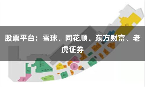 股票平台：雪球、同花顺、东方财富、老虎证券